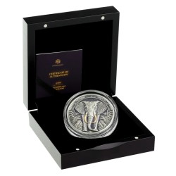 Elephant - Save the powers 2024 NIUE Antique + Black proof