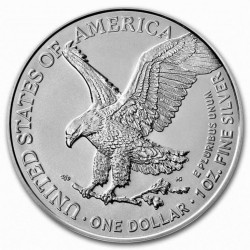 1 oz Silver American Eagle 2024 BU PRIVY STAR