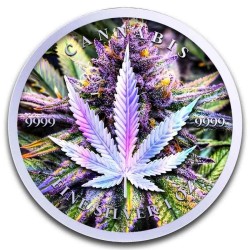 1 oz CANNABIS 2024 CHAD Holographic coloured 5000 CFA