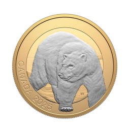 1 oz ANIMAL PORTRAITS: BEAR CANADA 2025 gilded