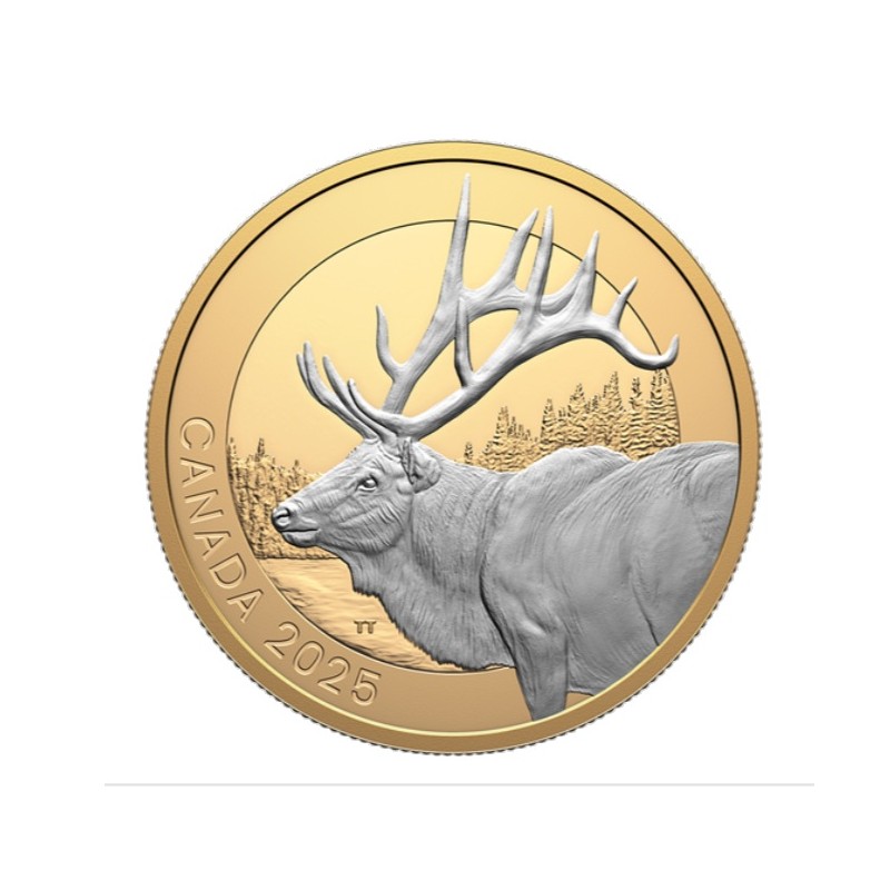 1 oz ANIMAL PORTRAITS: ELK KANADA 2025 gilded