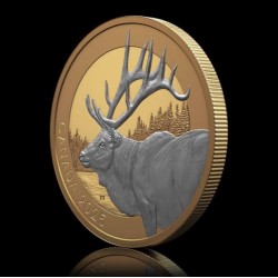 1 oz ANIMAL PORTRAITS: ELK KANADA 2025 gilded